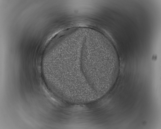 X0000110870386200907161443