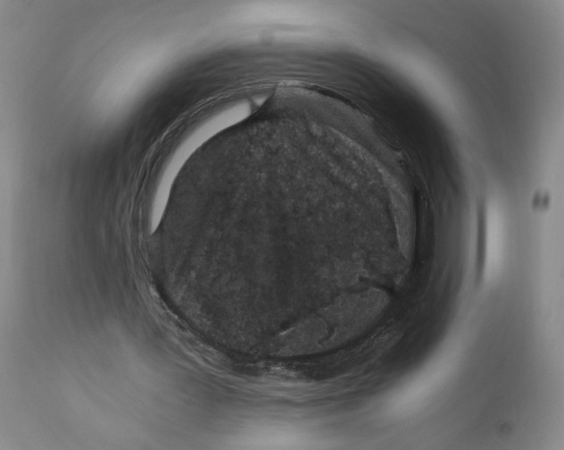 X0000110870387200907161443