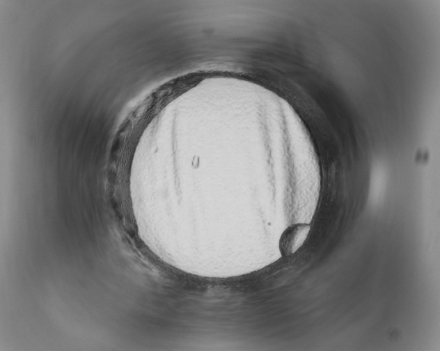 X0000110870388200907161443