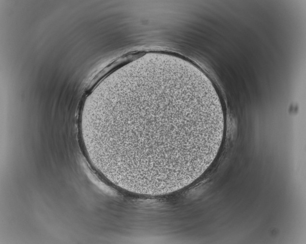 X0000110870389200907161443