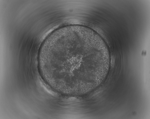 X0000110870390200907161443