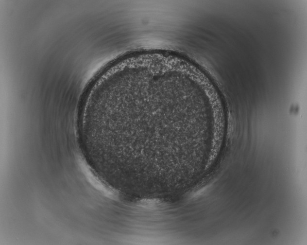 X0000110870391200907161443