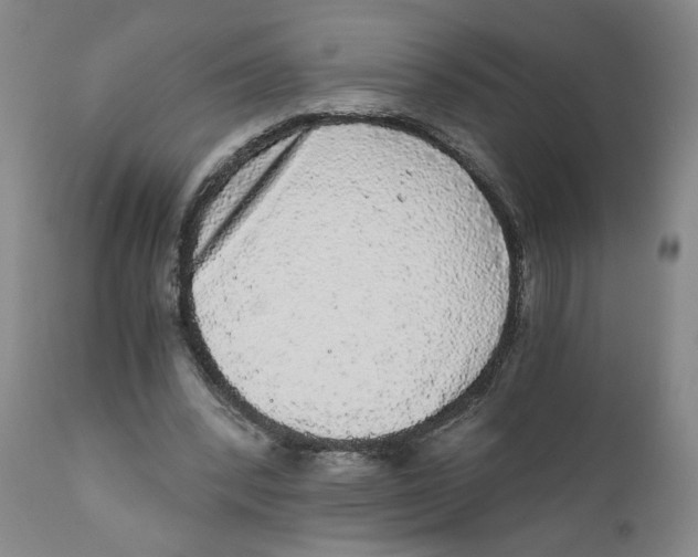 X0000110870392200907161443