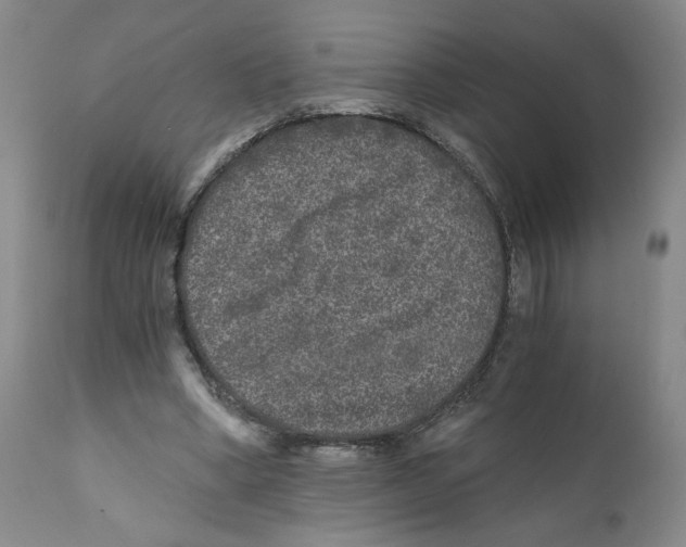 X0000110870394200907161443