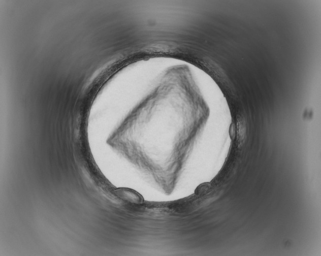 X0000110870396200907161443