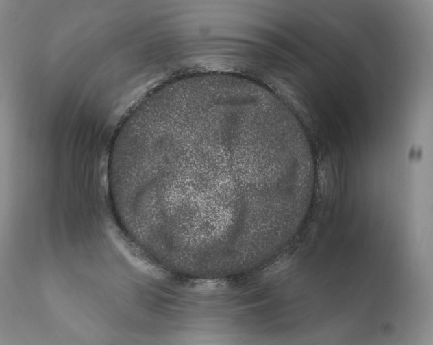 X0000110870398200907161443