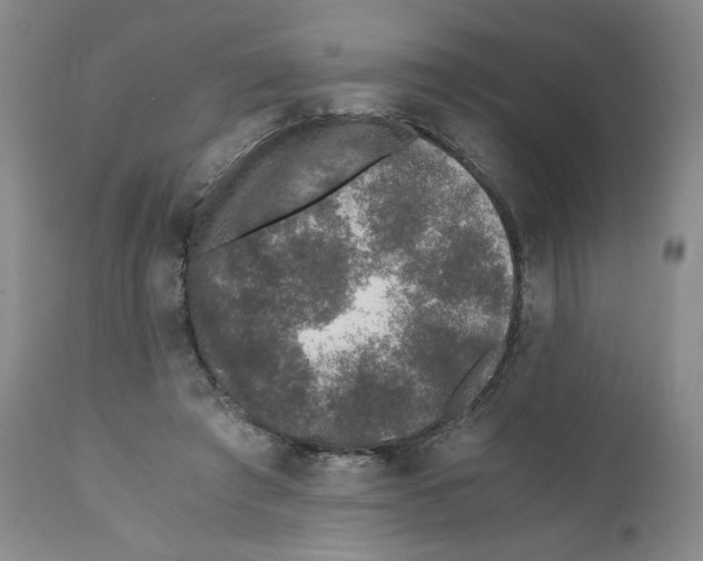 X0000110870401200907161443