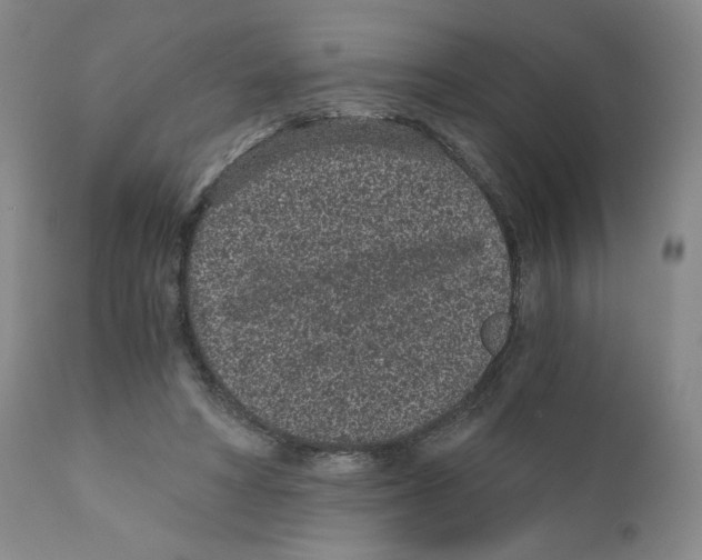 X0000110870402200907161443