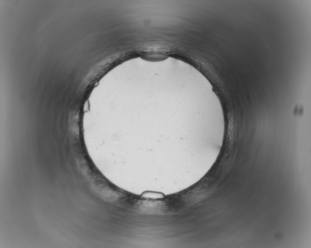 X0000110870403200907161443