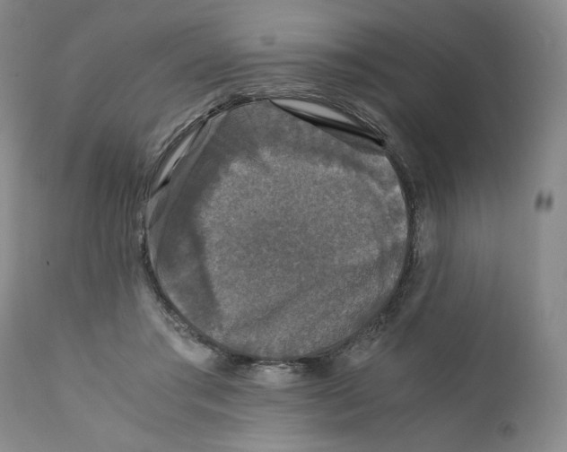 X0000110870405200907161443