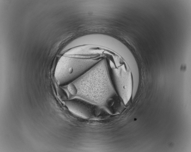 X0000110870407200907161443