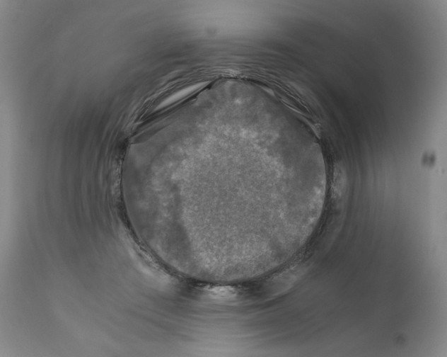 X0000110870409200907161443