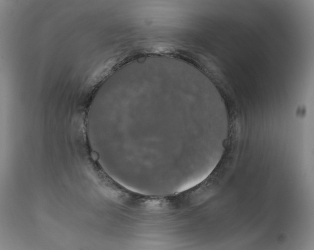 X0000110870415200907161443