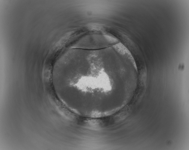 X0000110870417200907161443