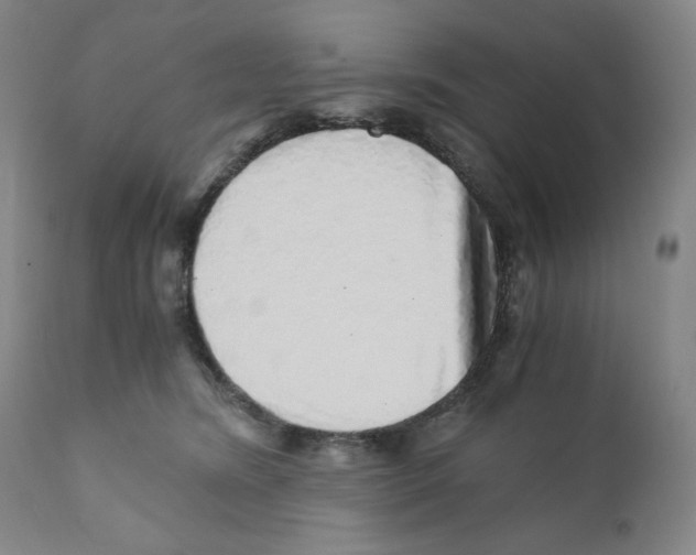 X0000110870420200907161443