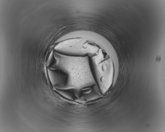 X0000110870421200907161443