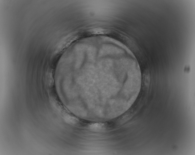 X0000110870422200907161443