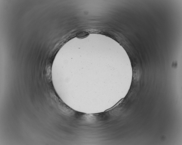 X0000110870425200907161443