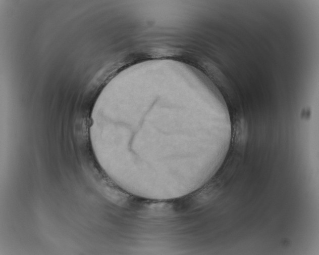 X0000110870426200907161443