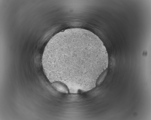 X0000110870428200907161443