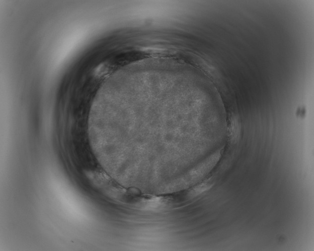 X0000110870430200907161443