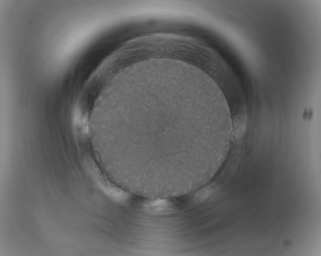 X0000110870431200907161442