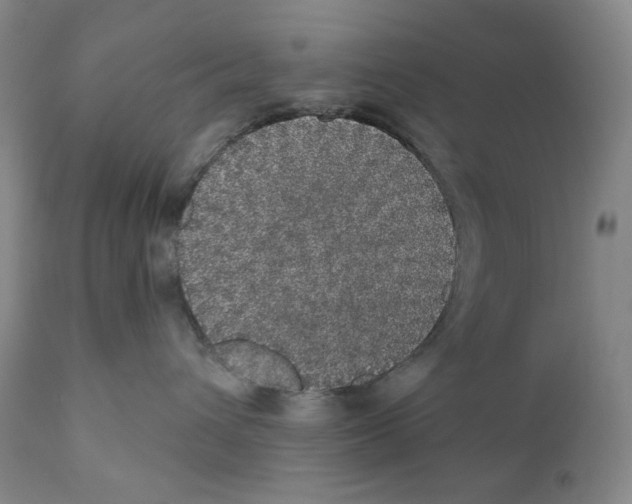 X0000110870432200907161442