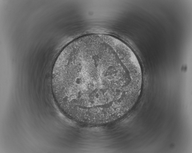 X0000110870433200907161442