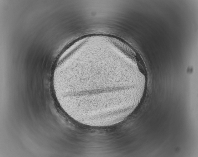 X0000110870434200907161442