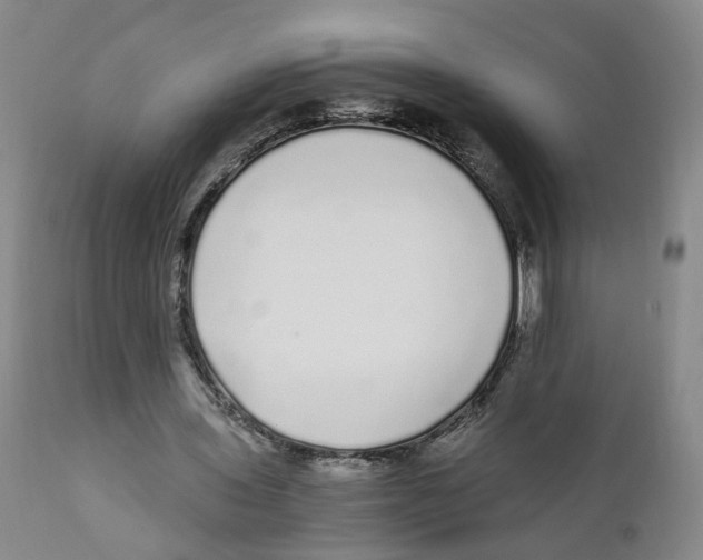 X0000110870435200907161442