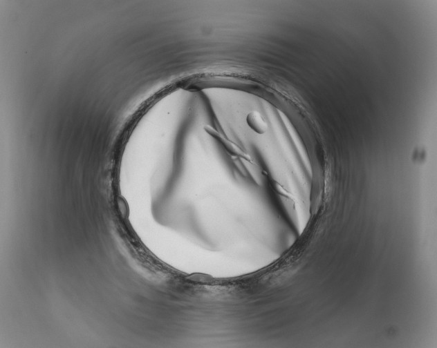 X0000110870436200907161442