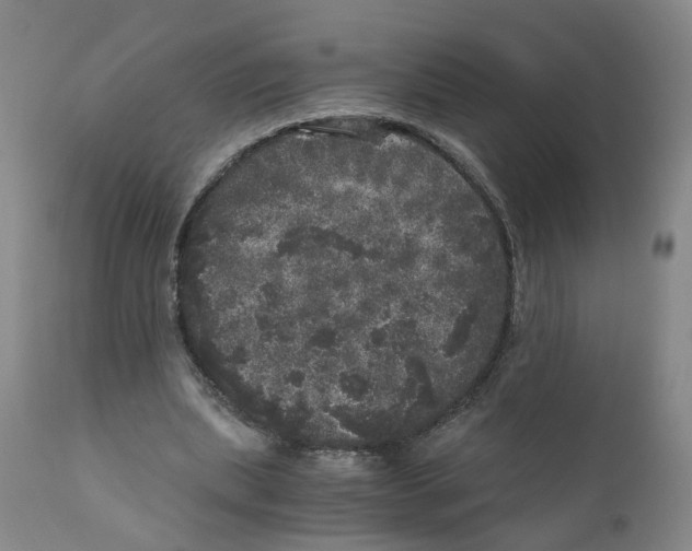 X0000110870439200907161442