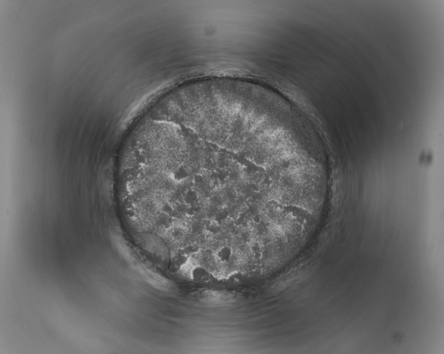 X0000110870442200907161442