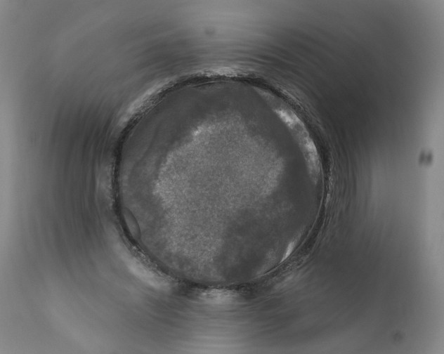 X0000110870444200907161442