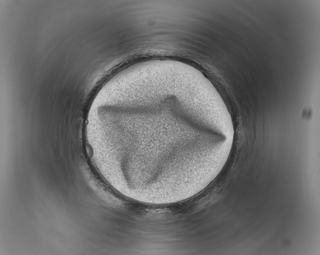 X0000110870446200907161442