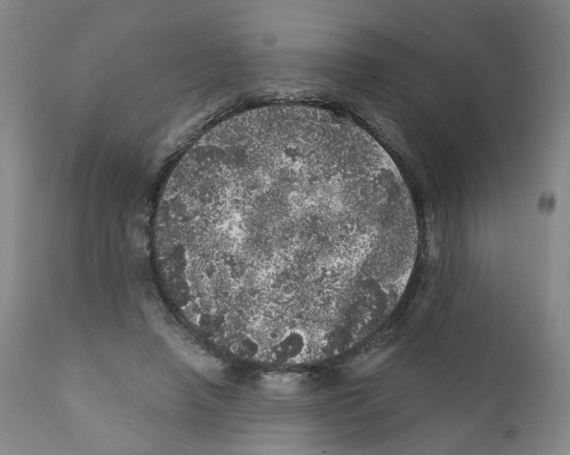 X0000110870450200907161442