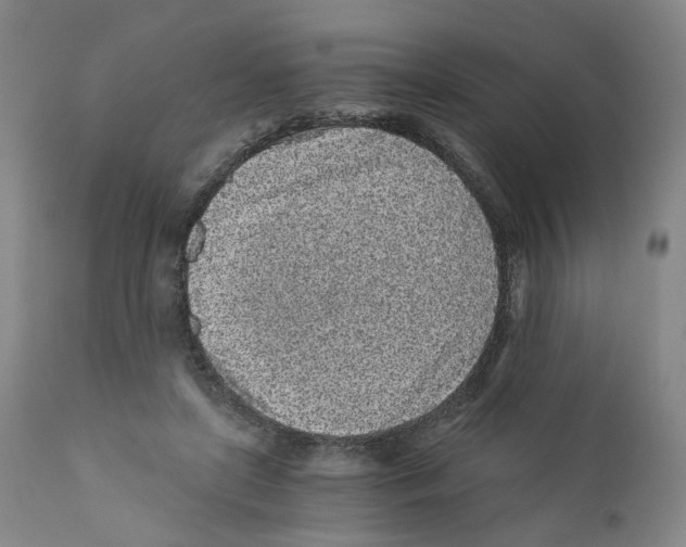 X0000110870451200907161442