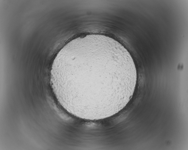 X0000110870453200907161442