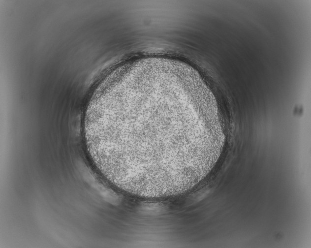 X0000110870454200907161442