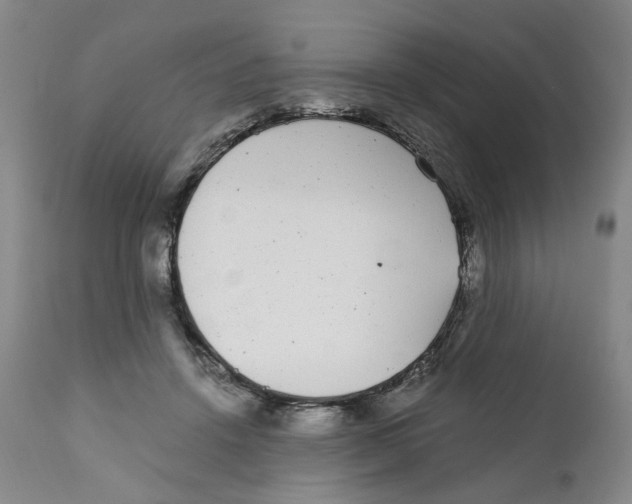 X0000110870456200907161442