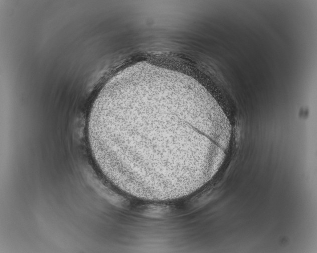 X0000110870458200907161442