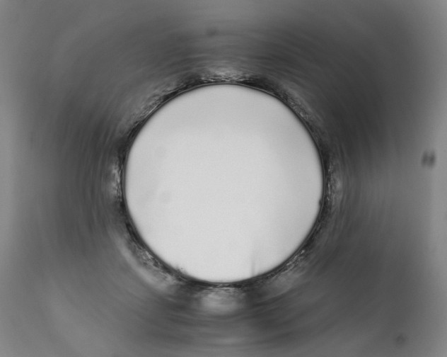 X0000110870459200907161442