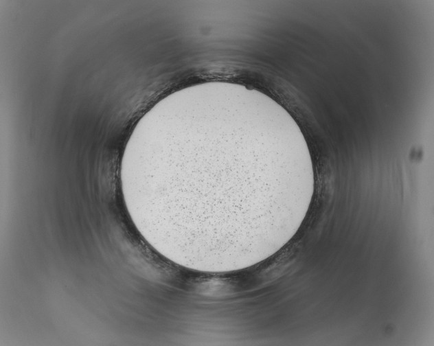 X0000110870460200907161442