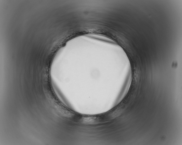 X0000110870461200907161442