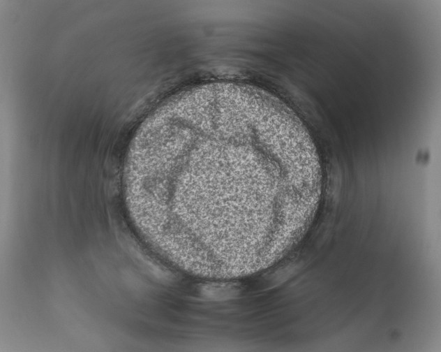 X0000110870465200907161442