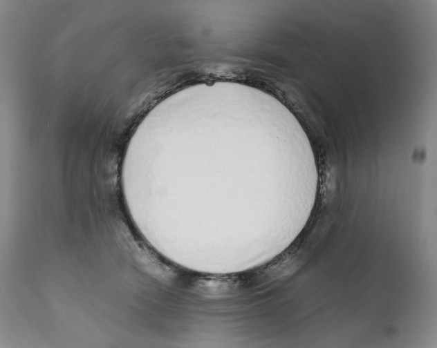 X0000110870466200907161442