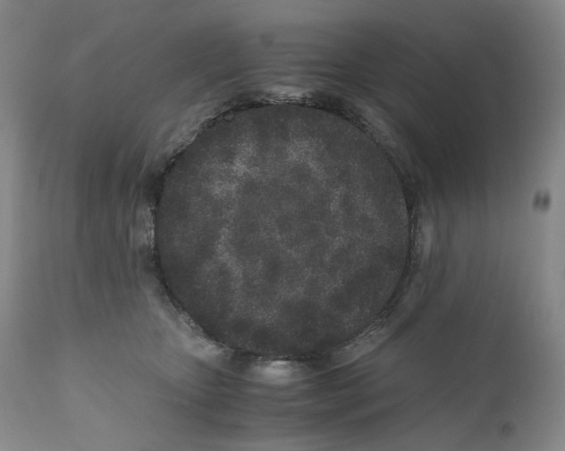 X0000110870467200907161442