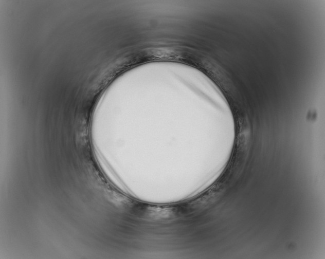 X0000110870469200907161442