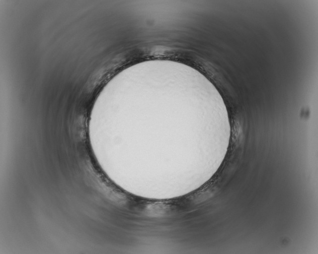 X0000110870470200907161442