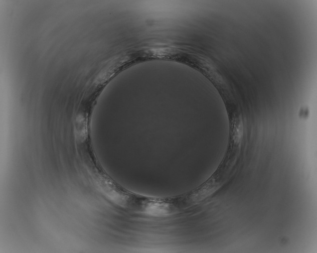 X0000110870471200907161442